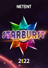 Interface Premium 2t22